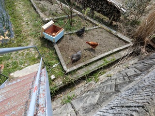 CIMG0078.jpg
