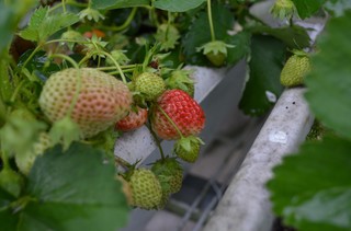DSC_0029.jpg