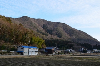 DSC_0037.jpg