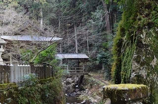 DSC_0077.jpg