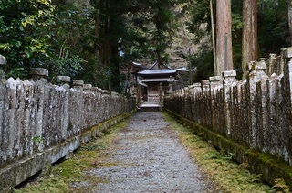 DSC_0092.jpg